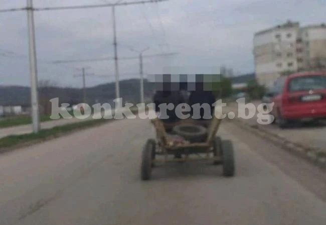 Конфискуваха кон и каруца във Враца