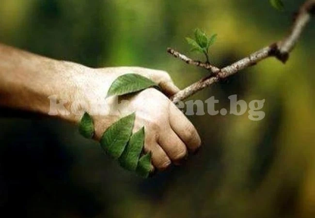 Започва седмицата на гората