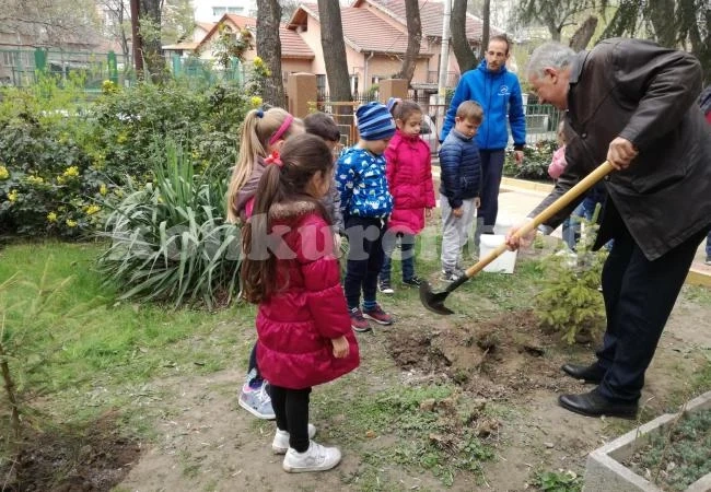 Възпитаници на видинските детски градини засадиха борчета