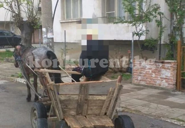Санкционираха нарушител на общинска наредба