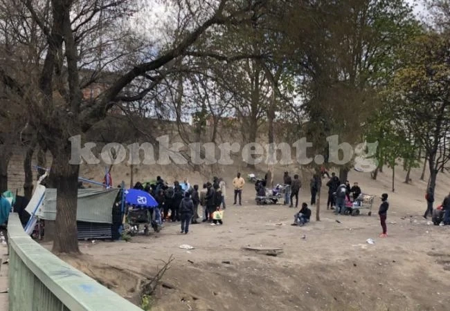 Масови мелета между мигранти