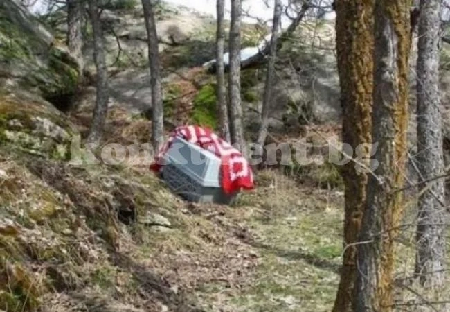 Изроди изоставиха кученце, затворено в клетка, за да умре в адски мъки