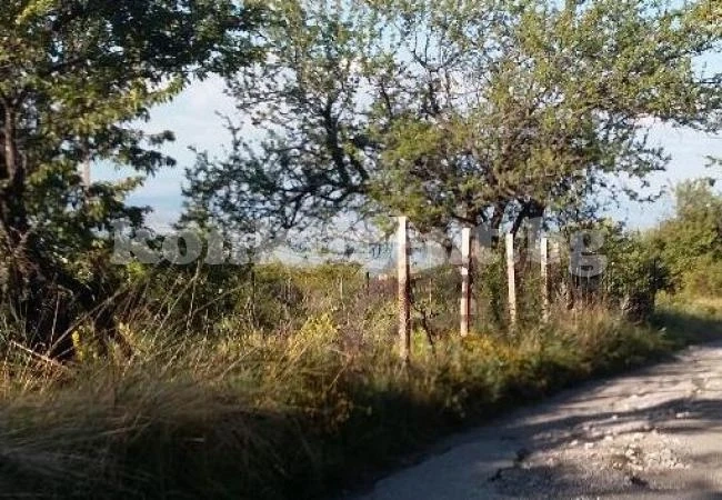 Откриха мъртъв пастир