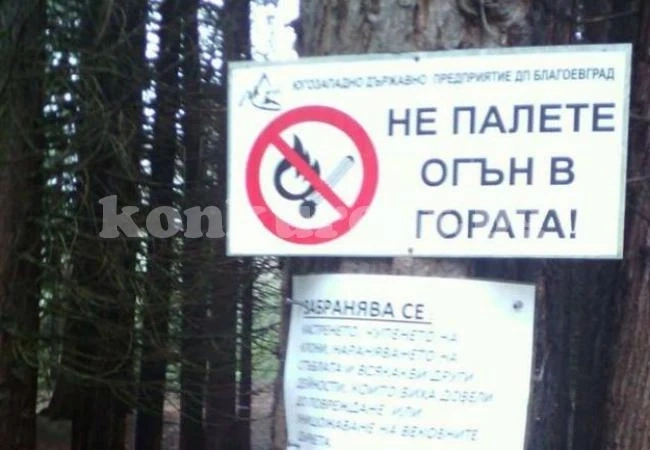 Вандали подпалиха вековни секвои