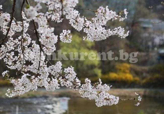 Днес ще бъде облачно и дъждовно, в сряда времето се подобрява