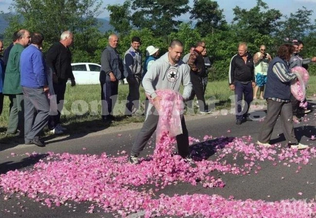 Глоби до 10 бона за нелегално производство на рози