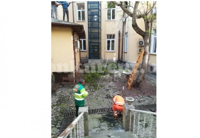 Рязаха орех в двора на съда СНИМКИ