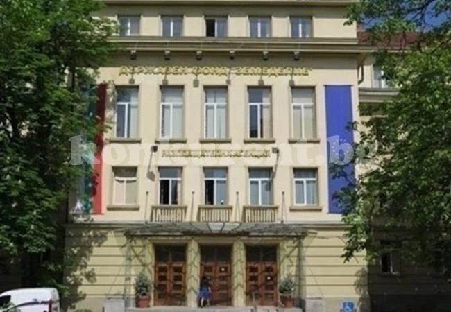 Пчеларите могат да подават заявления за плащане по договор до 15 август