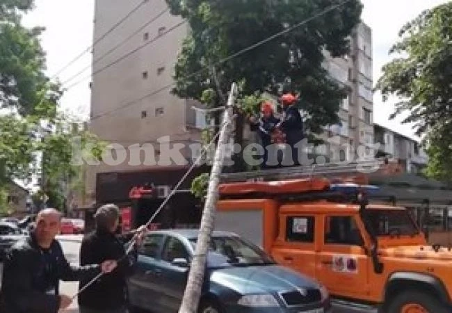 Дърво падна върху кола в Монтана