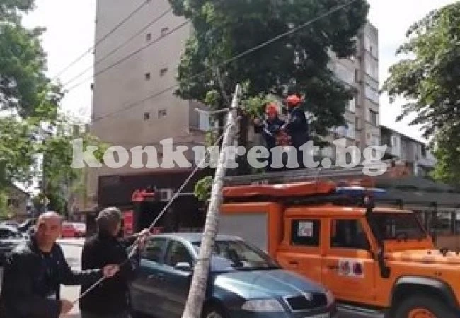 Дърво размаза автомобил