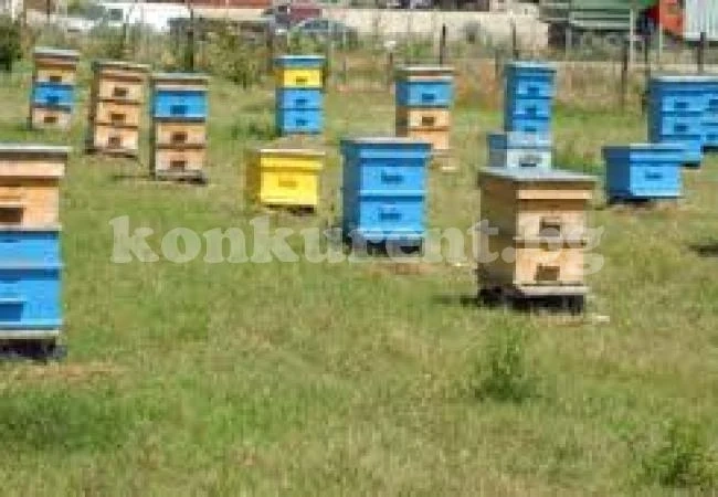 В пазарджишко няма отравяне на пчелни семейства след пръскане с химикали