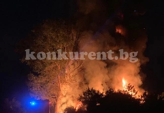 Голям пожар вилня в Козлодуй СНИМКИ