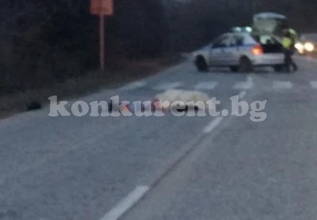 Полицията потвърди новината на „Конкурент“ за загиналия моторист в Бяла Слатина СНИМКИ