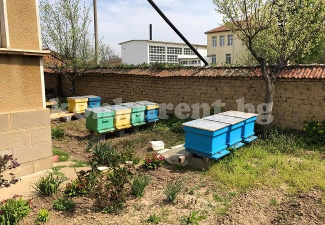Важно за пчеларите, ще третират в Малорад