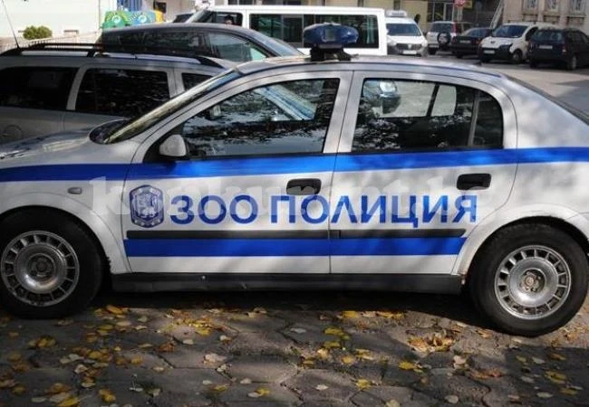 Унищожиха пчели от два пчелина