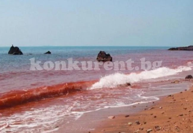 Поредното пророчество от Библията се сбъднa. Близо ли е краят (ВИДЕО)