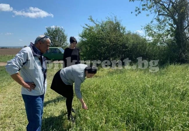 Около 70 хил. дка са засегнатите площи от градушки от началото на 2019 г.