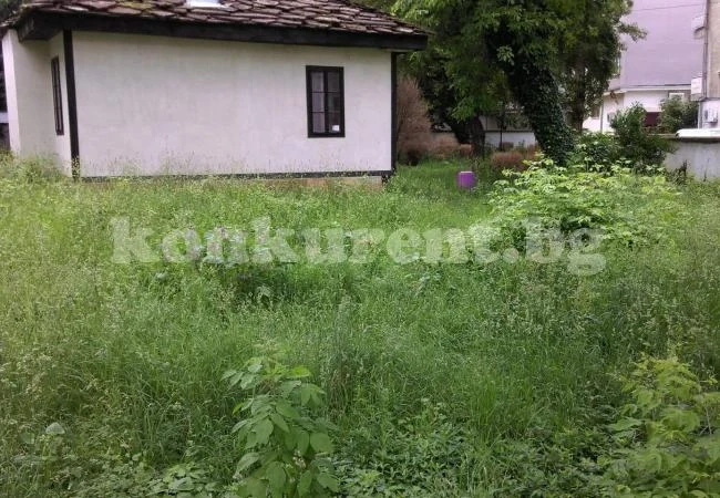Ученици почистиха двора на родната къща на своя патрон