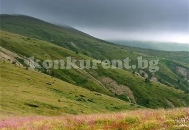 Откриха туристка, изгубила се край село Добростан