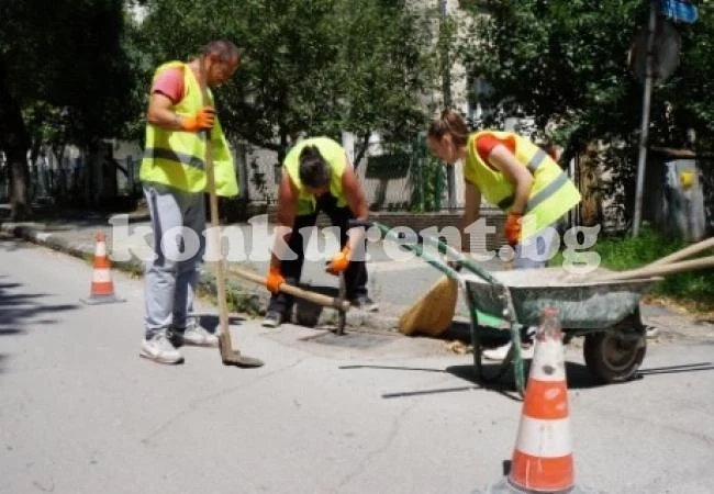 Община Мездра набира хора за Студентска бригада 2019