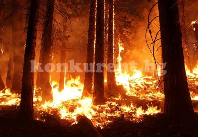 Евакуираха над 9000 души заради горски пожари