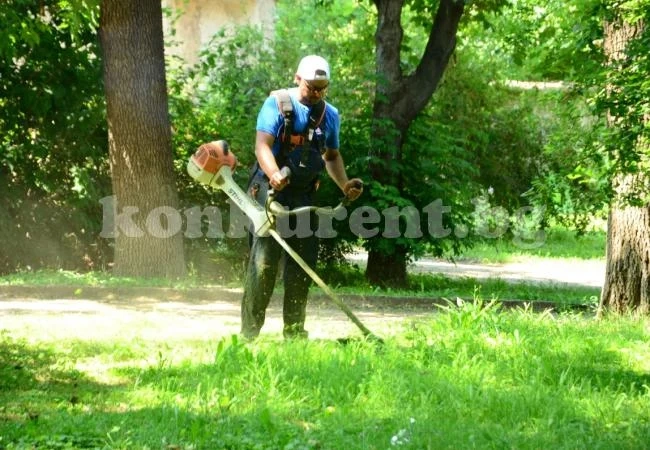 Усилено косене в парковете и кварталите на Видин