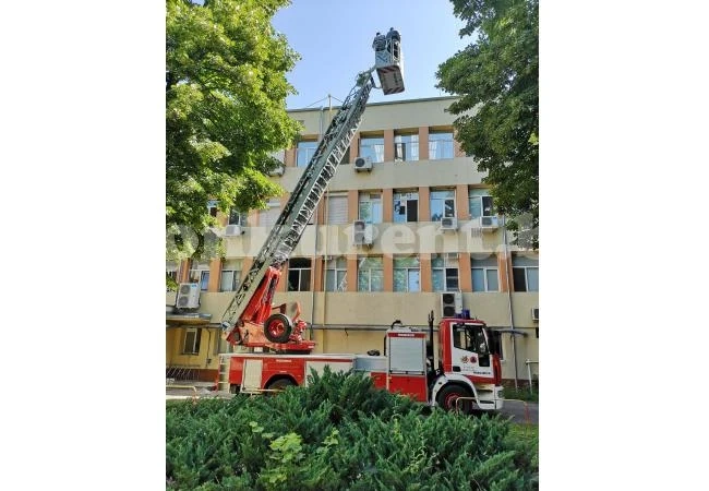Еколози и пожарникари спасяваха лястовички на фасадата на болница
