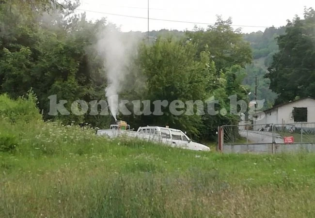 Подгониха комарите в Мездра СНИМКИ