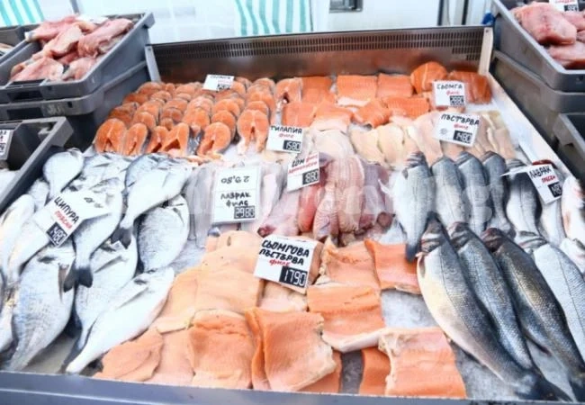 WWF: Рибата в Европа свършва до Нова година