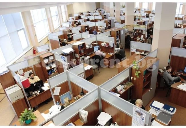 90% от работещите у нас са на трудов договор, 9% се самоосигуряват