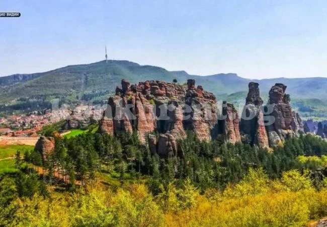 Предизборно удариха кмета на Белоградчик с компромат