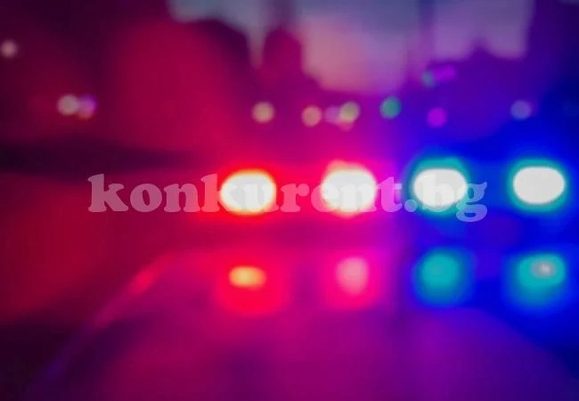 Кола се блъсна в дърво край Плевен, загинаха мъж и дете