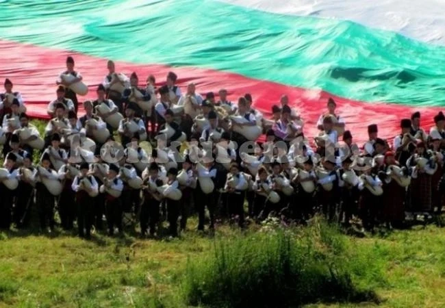 Диви прасета изорали ливадите на Рожен, валяк изглажда поляните за събора