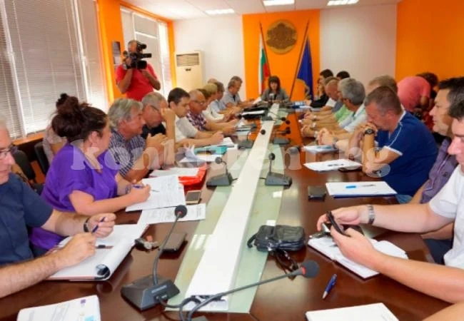 Във Видин реагираха и събраха експерти заради чумата по свинете