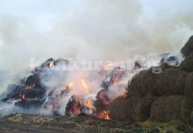 Криминално проявен запали 2 000 бали във врачанско село
