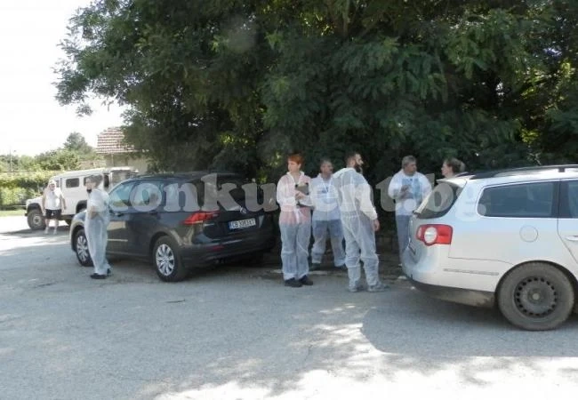 Бедствено положение и в област Плевен заради африканската чума