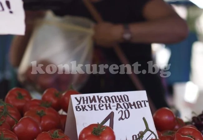 2/3 от доматите са вносни