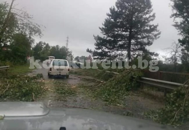 Страховити СНИМКИ и ВИДЕО от стихията, която се изви край Враца