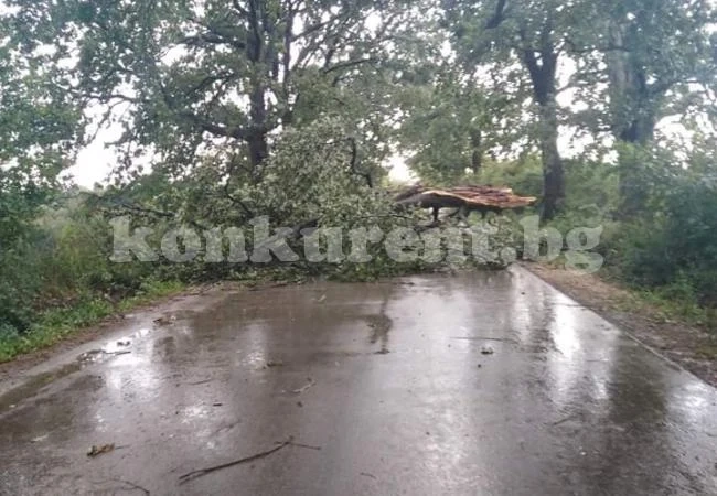 Вижте още СНИМКИ след бурята над Врачанско