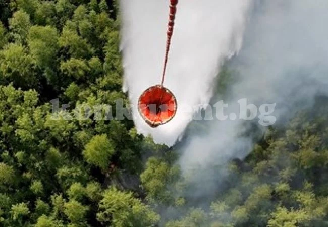 Пожарът в Сибир обхвана над 1 милион декара гора
