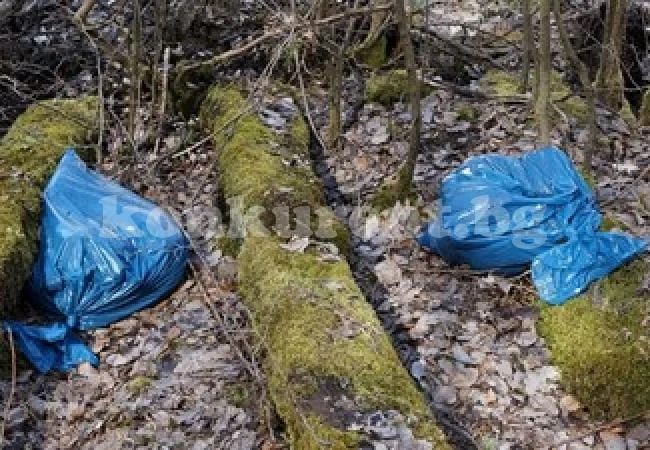 Германия подготвя закони за забрана на пластмасовите торбички