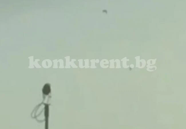 Жена вдигна телефона си, за да снима птици, но истината се оказа шокираща ВИДЕО