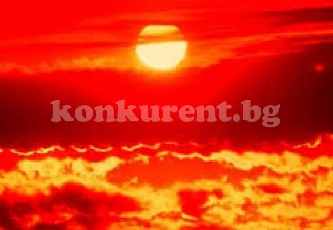 БЧК припомни какво да правим в горещите дни
