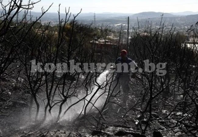 24-годишен е задържан за пожарите в Аркадия в Гърция