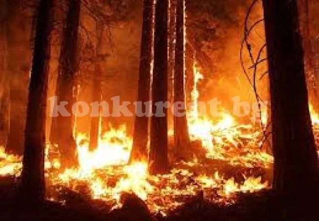Голям пожар в Искърското дефиле