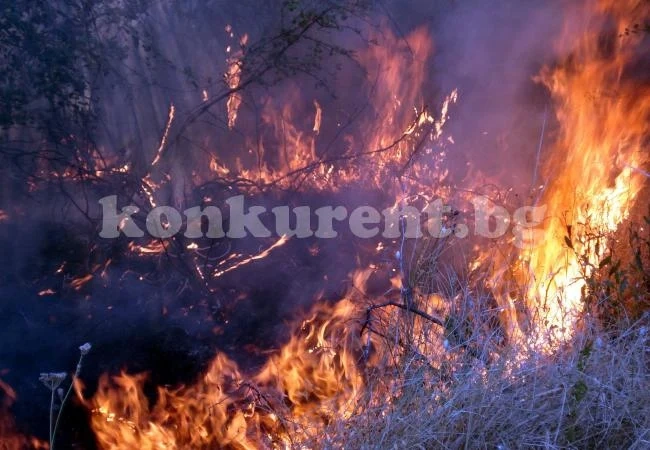 36 000 сигнала за пожари у нас от началото на годината