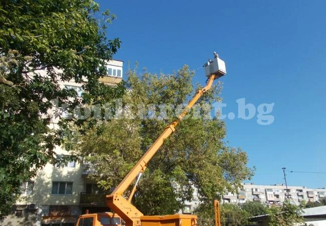 Пръскат площадки срещу гъсеници и комари