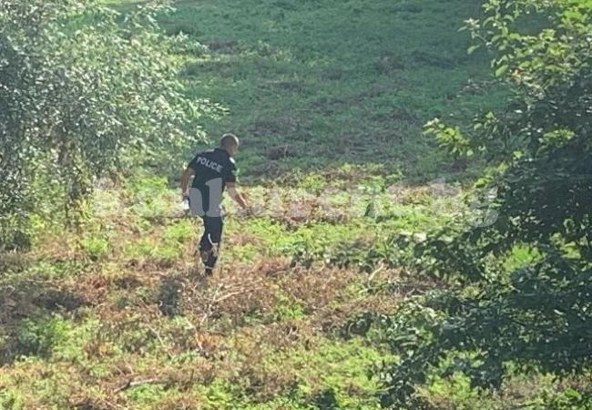 В Градешница подозират, че намерените кости са на...
