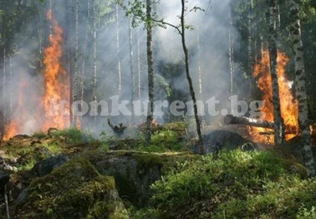 Военни самолети обливат с вода горящите тропически гори в Амазония