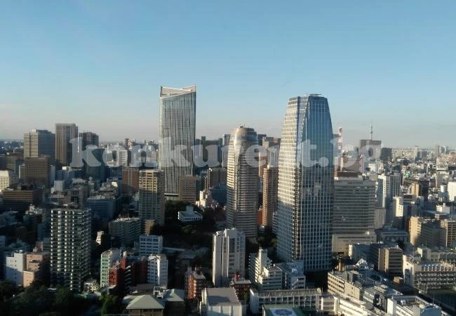 Япония – калейдоскоп от небостъргачи, дворци и храмове